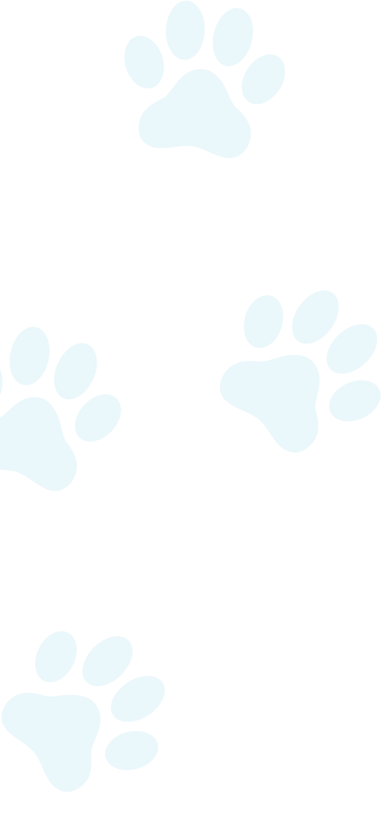 Dog BnB Houston - Image 1